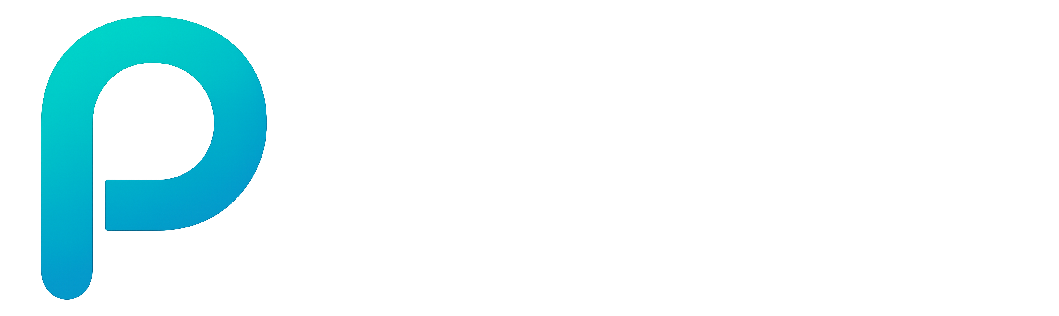 P Solutions